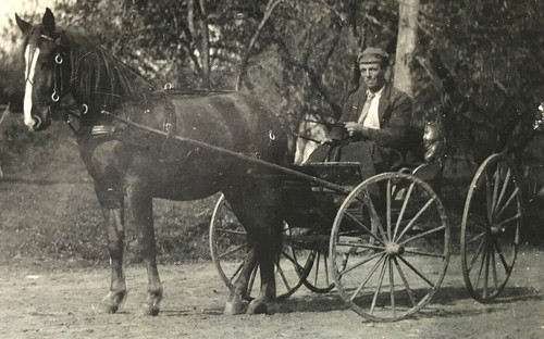 Antique vtg rppc photo horse - vtg,