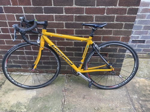 Litespeed vela bike - litespeed, fulcrum