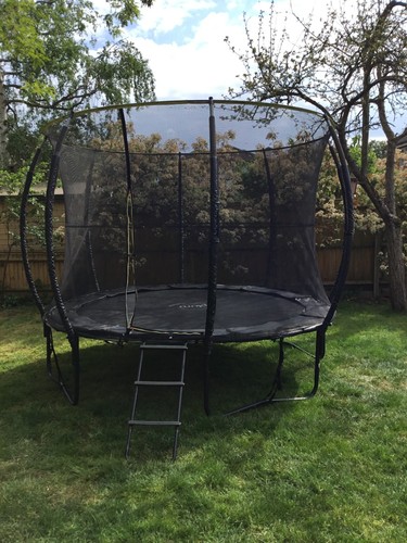 Plum premium 10ft web - plum,