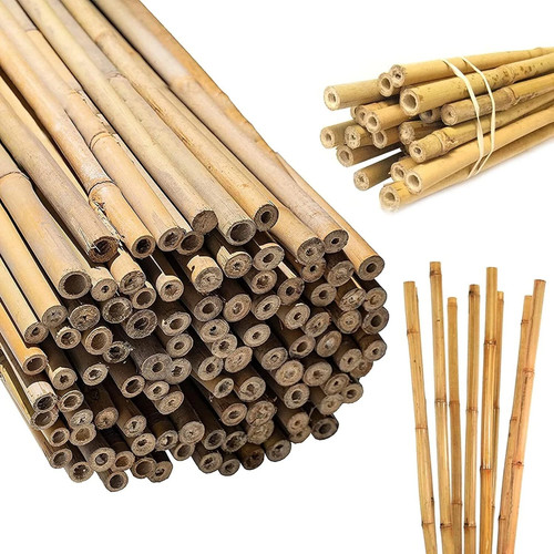 2ft 3ft 4ft - 6ft, bamboo