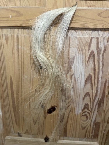 Blonde natural horse hair tail - natural,