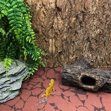 2Pcs Reptile Cork Bark Natural Vivarium Tree Wood Decoration For Bearded Dragon