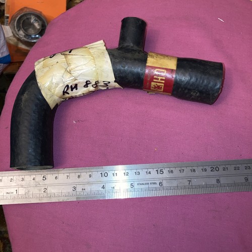 Bottom lower radiator - bottom, hose