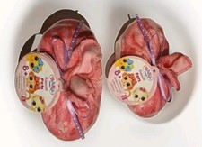 Babyborn Surprise Pets Color