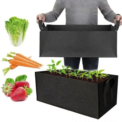 Large plant grow bags - plant,
