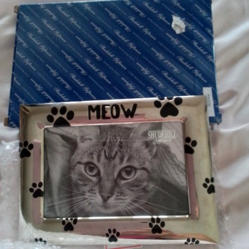 Bnib shudehill giftware meow - bnib,