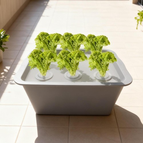 System growing box - growing, box,indoor