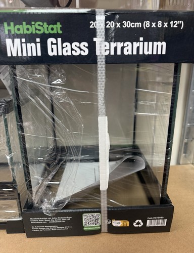Mini glass terrarium - glass,