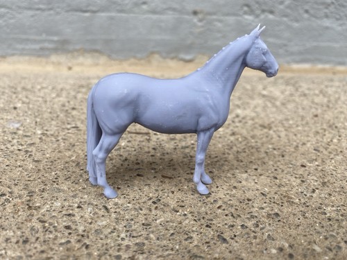 Rookie warmblood horse carola - warmblood,