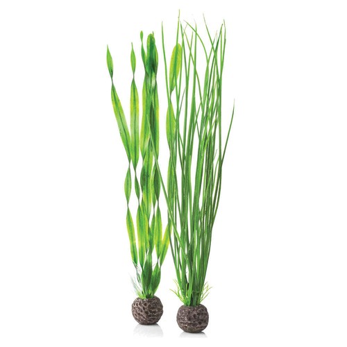 Biorb aquarium fish tank - biorb,