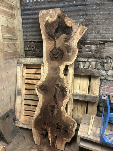 Roughsawn english burr burl - burr,