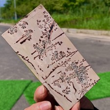 159G Beautiful Natural Chinese Dendritic Limestone Picture Stone Guohua -Rare