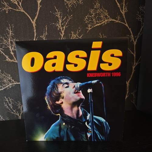 Oasis knebworth 1996 - x,