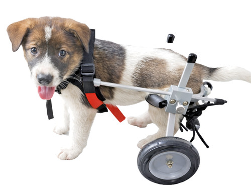 Best friend mobility - friend,