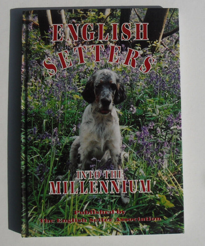English setters into the - english,