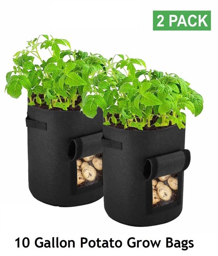 2pack gallon potato grow - gallon,