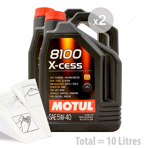 Car engine oil - service, /