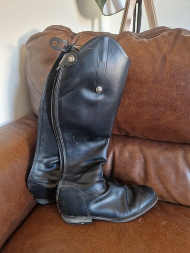 Sarm hippique size - size, 8