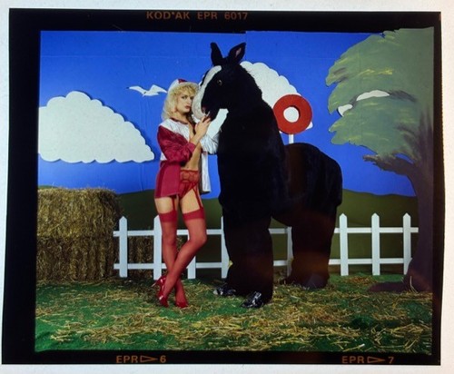 Sheree haskell vintage - sheree, 4