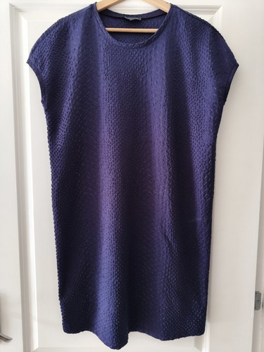Pied terre purple reptile - pied,