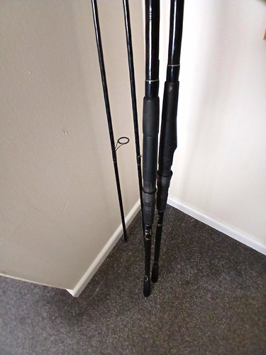 Shimano the bug - shimano,