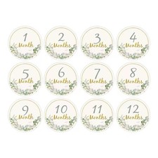 Baby Milestone Cards 1-12
