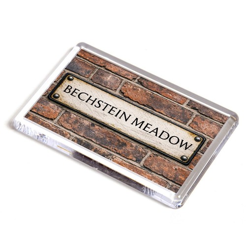 Fridge magnet bechstein - -,