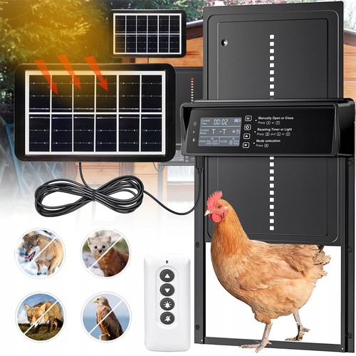 Automatic chicken coop door - chicken,