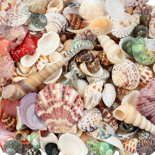 200 pcs sea - 200,