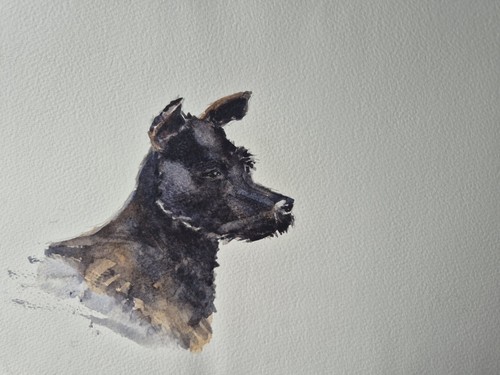 Patterdale terrier original - patterdale,