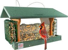 Amish-Made Large Cedar Bird