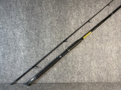 Daiwa wave spinning - daiwa, 8’