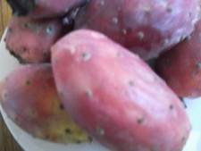 50 PURPLE PRICKLY PEAR SEEDS - OPUNTIA FICUS INDICA