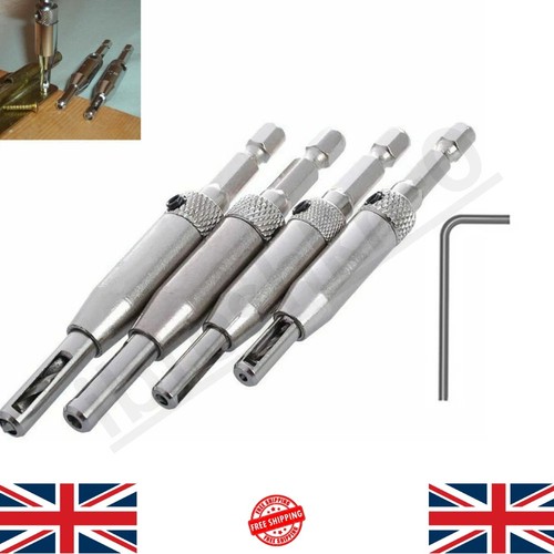 Door lock hinge - 4x, bit