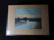 Lovely Vintage Peter Scott