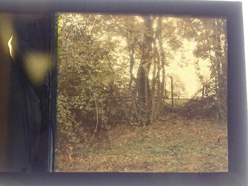 Autochrome 45x107 foret stereo - 45x107,