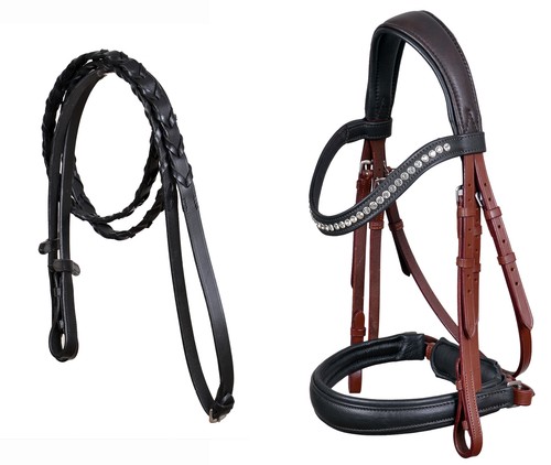 Horse english all purpose - english, all-purpose