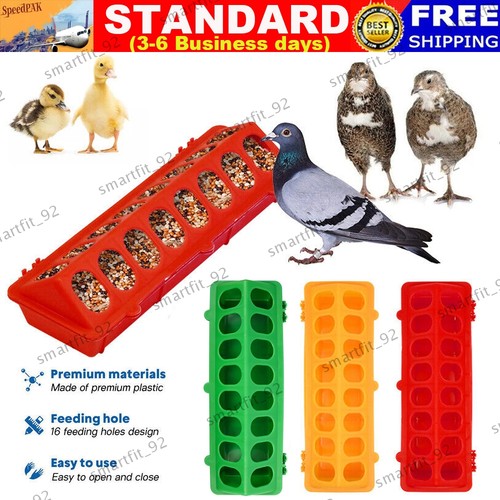 Small chick feeder waterer - chick,