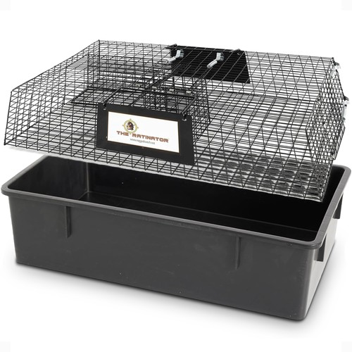 Rugged ranch ratinator rat - rugged,