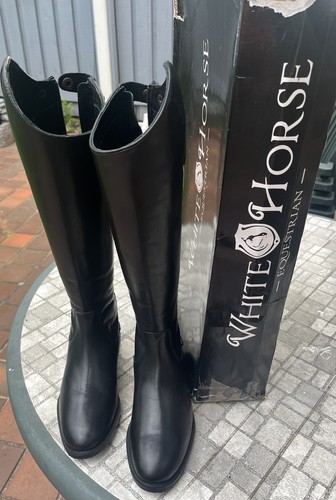 White horse equestrian - horse,