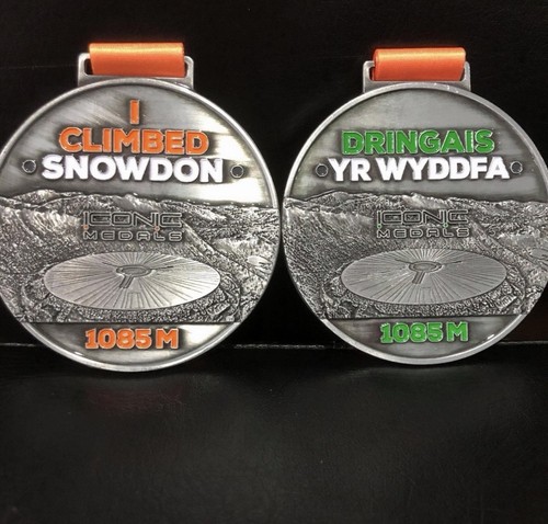 Snowdon medal wyddfa - medal, yr
