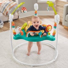Fisher-Price Jumperoo Baby