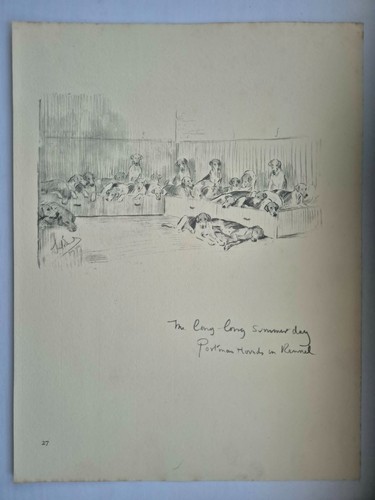 Antique pencil drawing fox - antique,