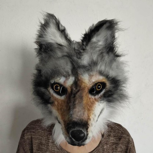 Wolf mask creative - creative, realistic