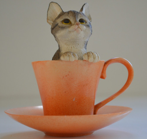 Leonardo collection tea for - leonardo,