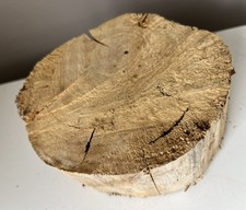 Pale driftwood log - log, lamp