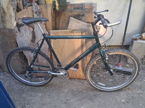 Raleigh max mountain bike - raleigh,