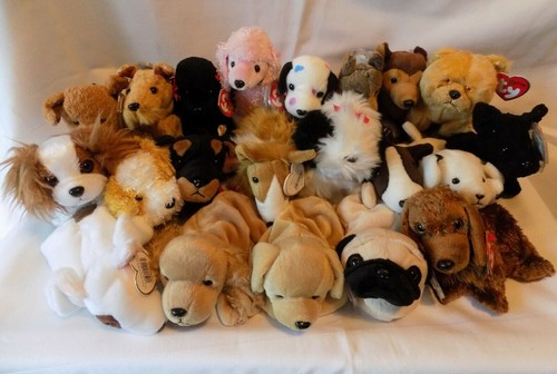 Beanie dogs only - -dogs,