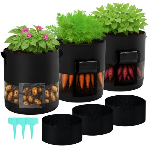 6pcs gallon potato grow - 15,
