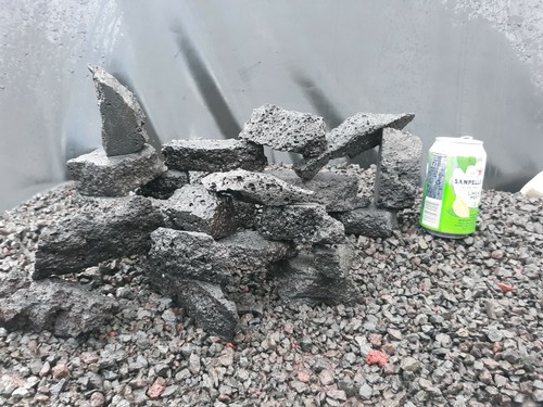 Ledger stone aquarium fish